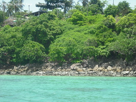 20090420 Phi Phi Island - Maya Bay- Koh Khai  130 of 182 